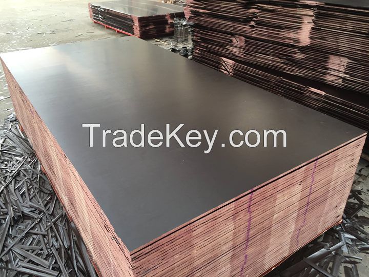 Waterproof black film faced plywood / construction shuttering plywood 1220 x 2440 x 18 mm