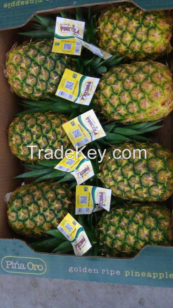 PINEAPPLE MD2