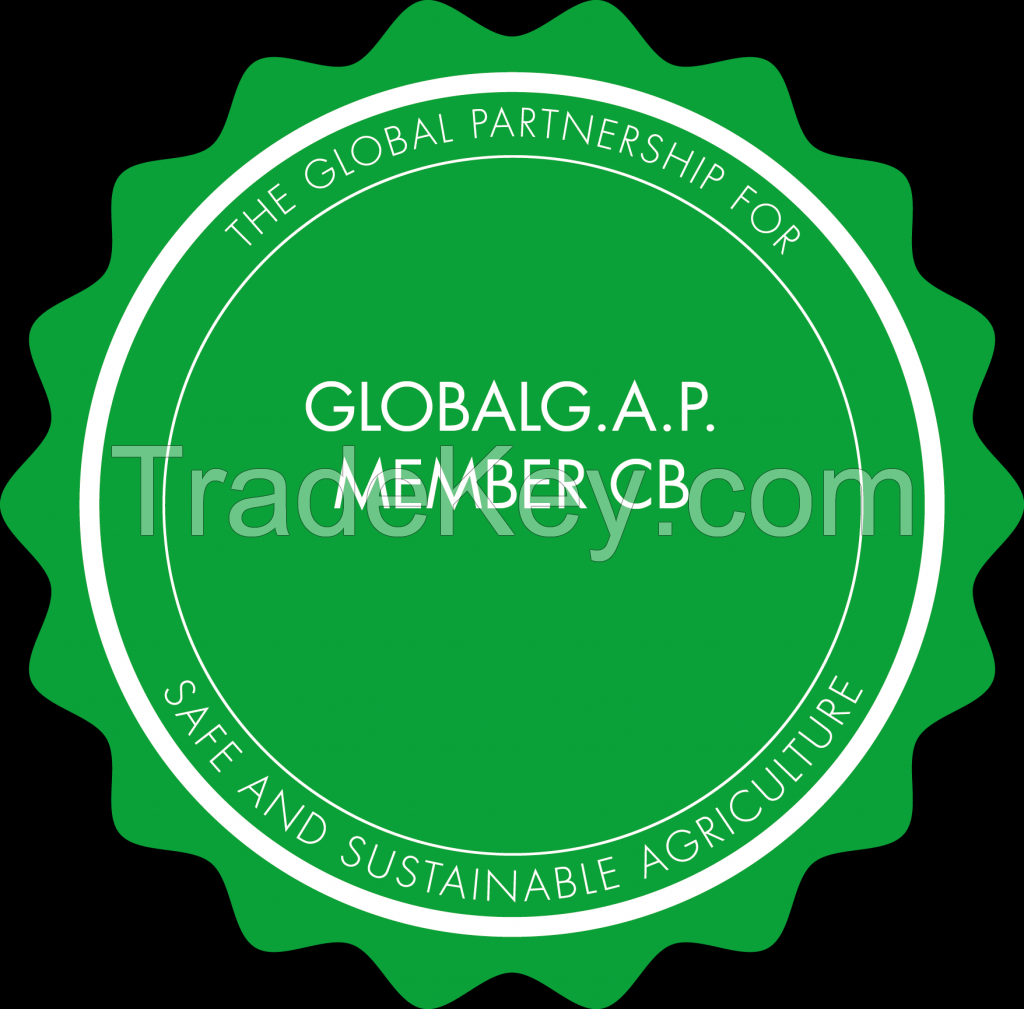 pineapple md2 by cana triturada de magdalena, mexico