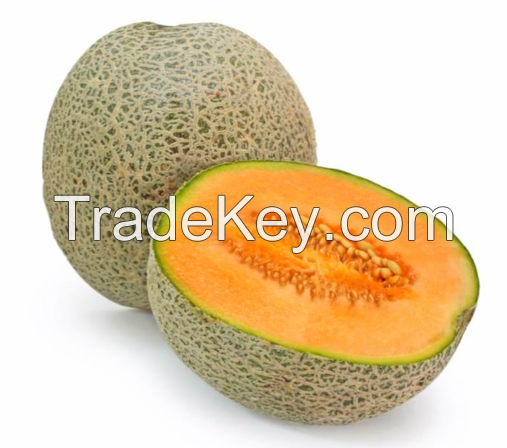 MELON MAXIMO SEED