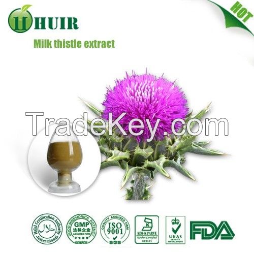 Milk Thistle Extract