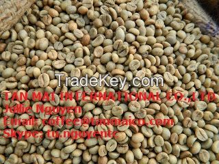 Premium Vietnam Robusta green coffee beans