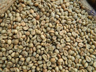 Green coffee beans, Vietnam coffee grade A