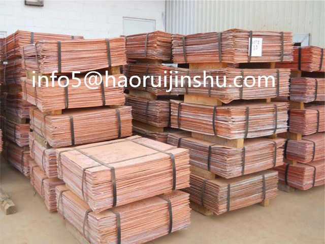 Cathodes Copper  99.99%  Manufacturer 