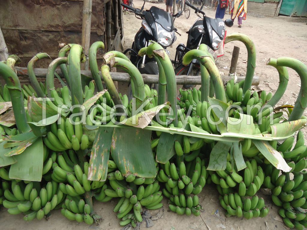 banana , fresh vegetable 