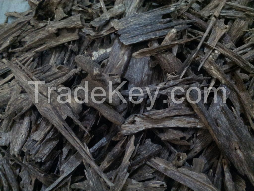 Agarwood Chips