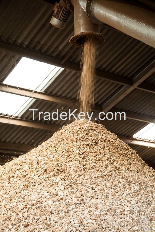 Biomass Wood Chip Fuel