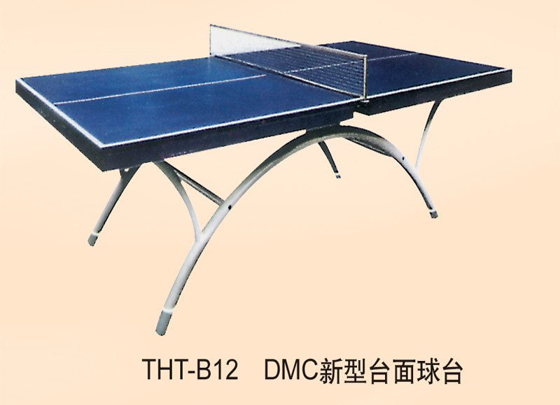 Table Tennis Outdoor