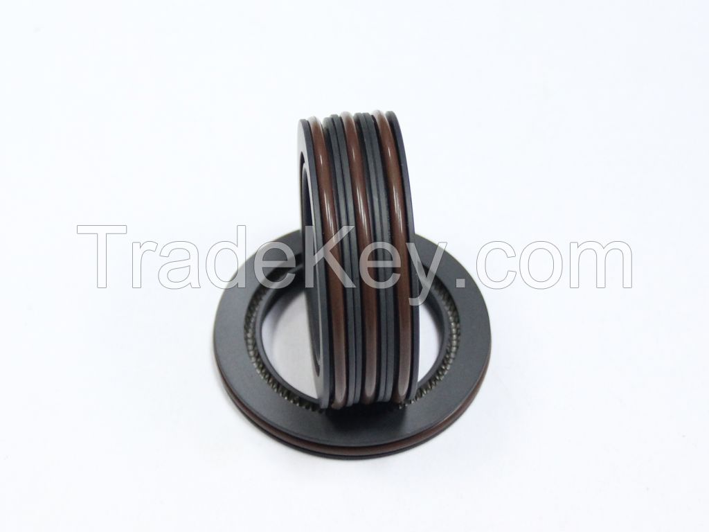 PTFE and H type spring activated seal