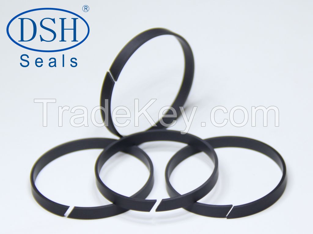 Guide ring DST ptfe guide element