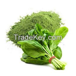 Spinach Powder