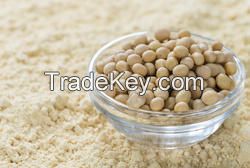 Soya Powder