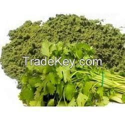 Coriander Powder