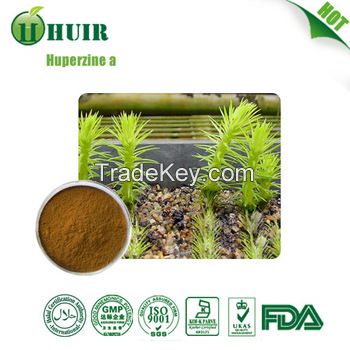 98% Huperzine A bulk powder Huperzia Serrata extract