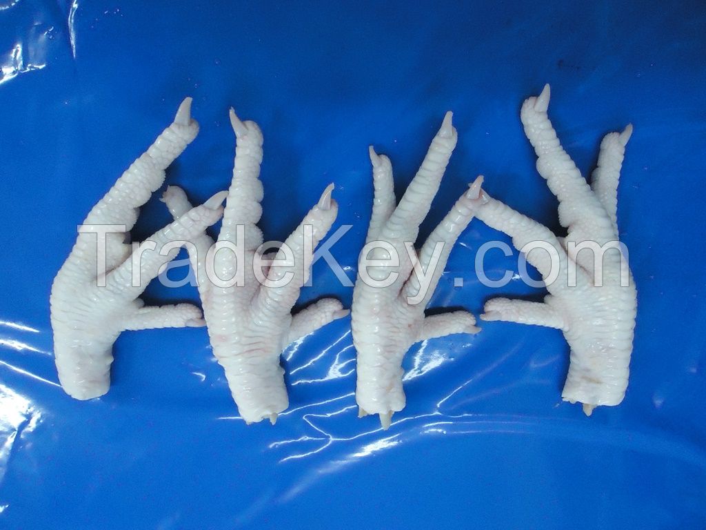 Export Quality of Premium Chicken feet and paws