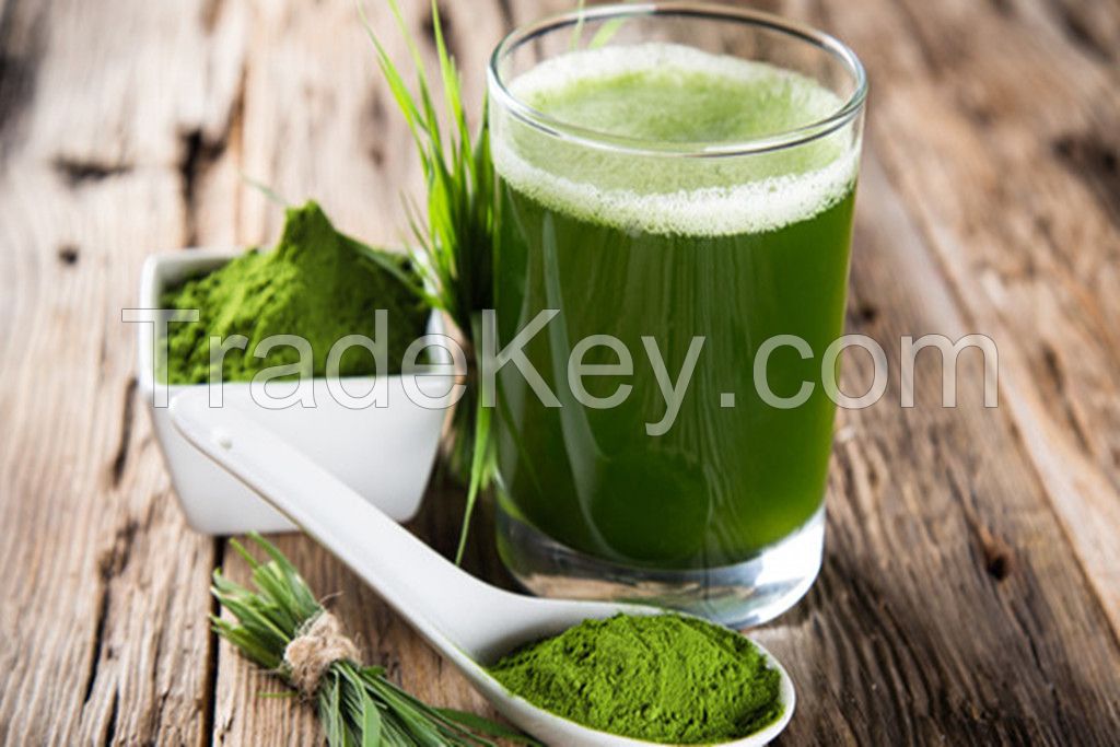 Organic Barley Grass Juice Powder