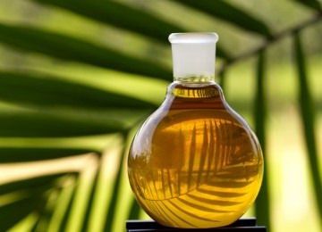 Best Quality Palm Oil