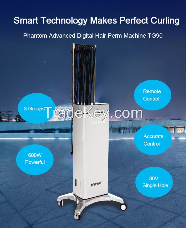 Remote Controlled, Digital Hair Perm Machine, Color Silver, TG90