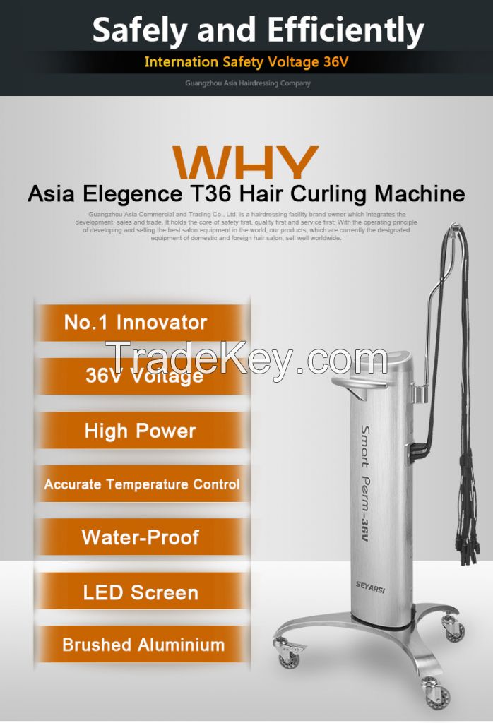 Hair Perming Machine, 36V Output, High Quality, Hairdressing Helper, T36