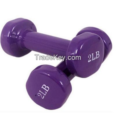 Vinyl Dipped Dumbbell Manufacturer