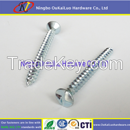 Zinc Plated Tamper Proof One Way Screws