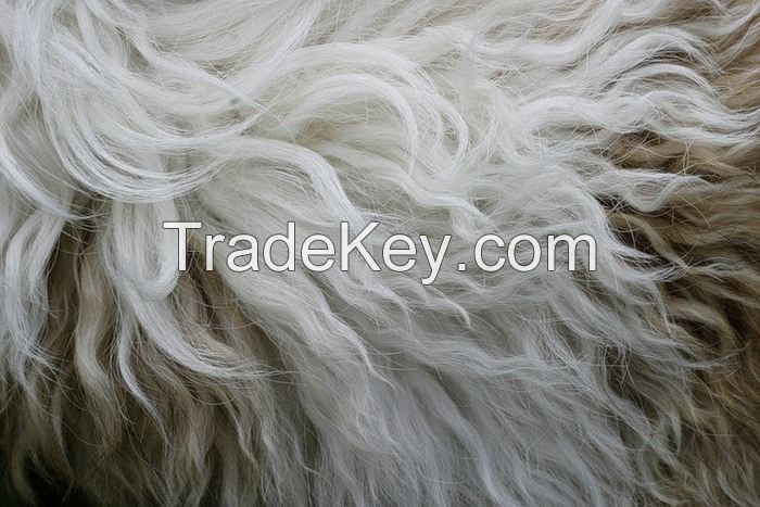 washed, coarse, dark colored wool of sheep