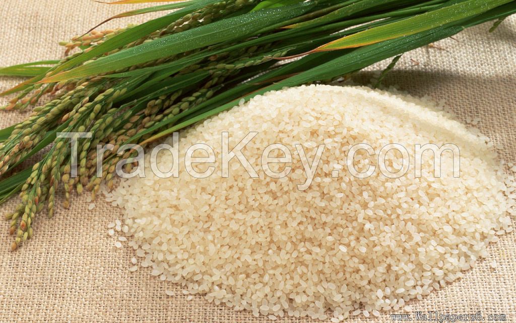 Long or Short Grain White Rice, KDM ( Homali Rice), Jasmine Rice, Japonica ( Round Rice), Long Grain Parboiled Rice