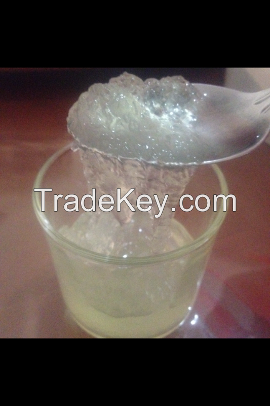 swiftlet bird nest