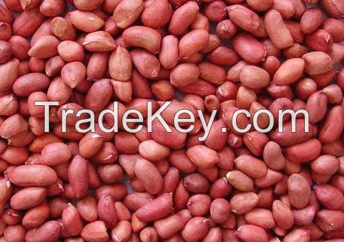 Raw Quality Peanuts for sale