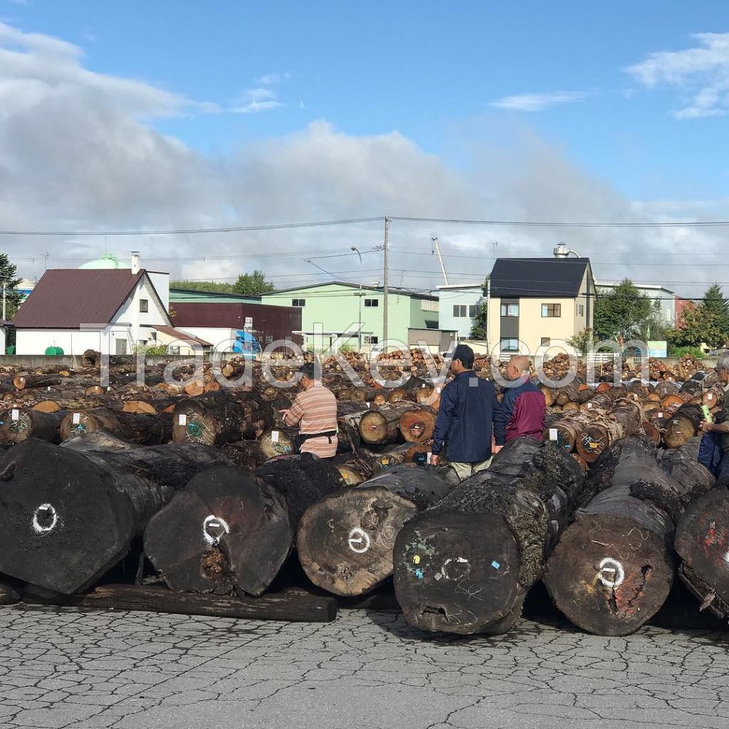 Tali Logs and Lumber Ready for Supply.