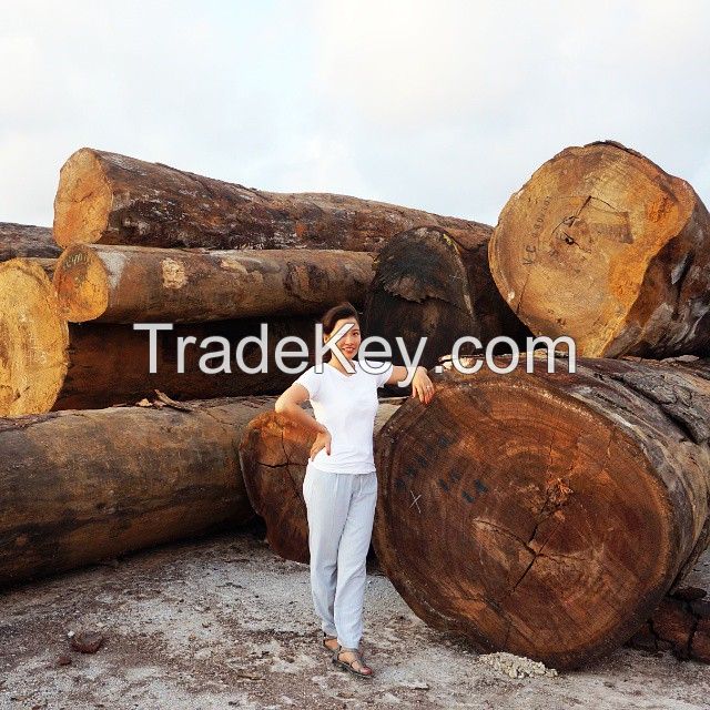 Tali Logs and Lumber Ready for Supply.