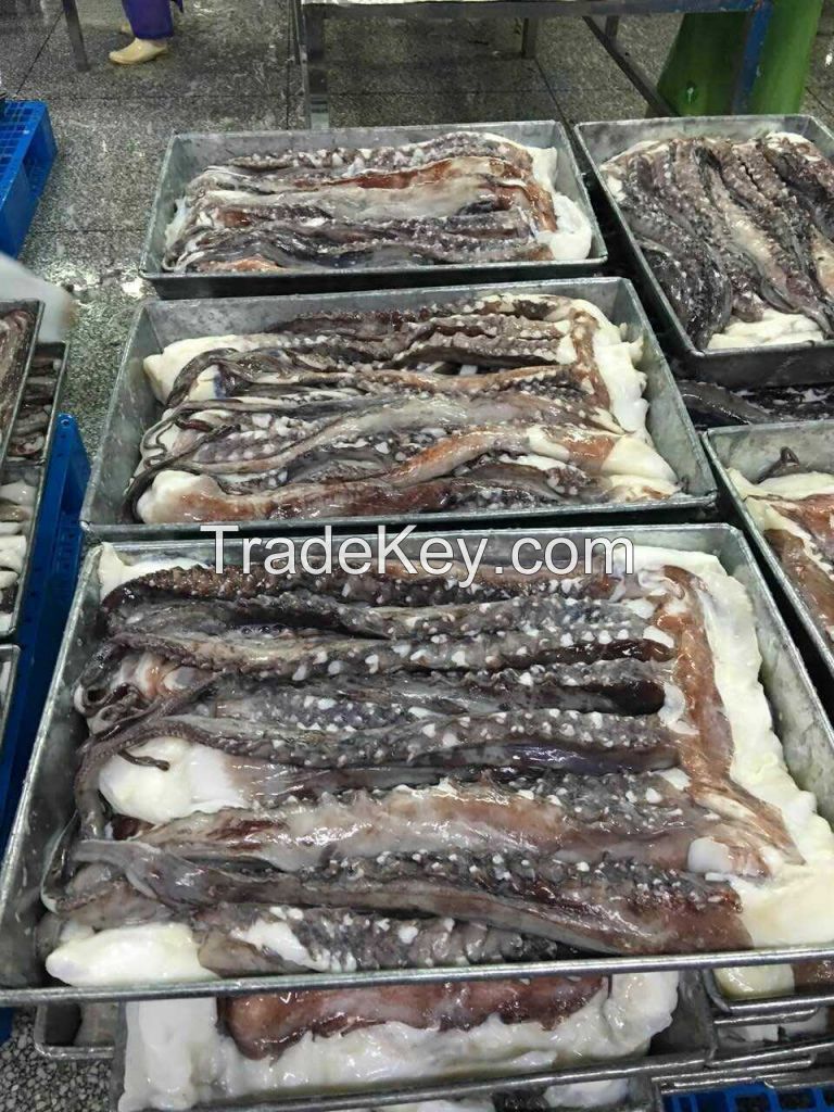 Frozen peru giant squid tentacle BQF