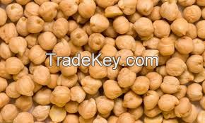 Chickpeas Grade A Hot Sales