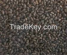 Palm kernel nut