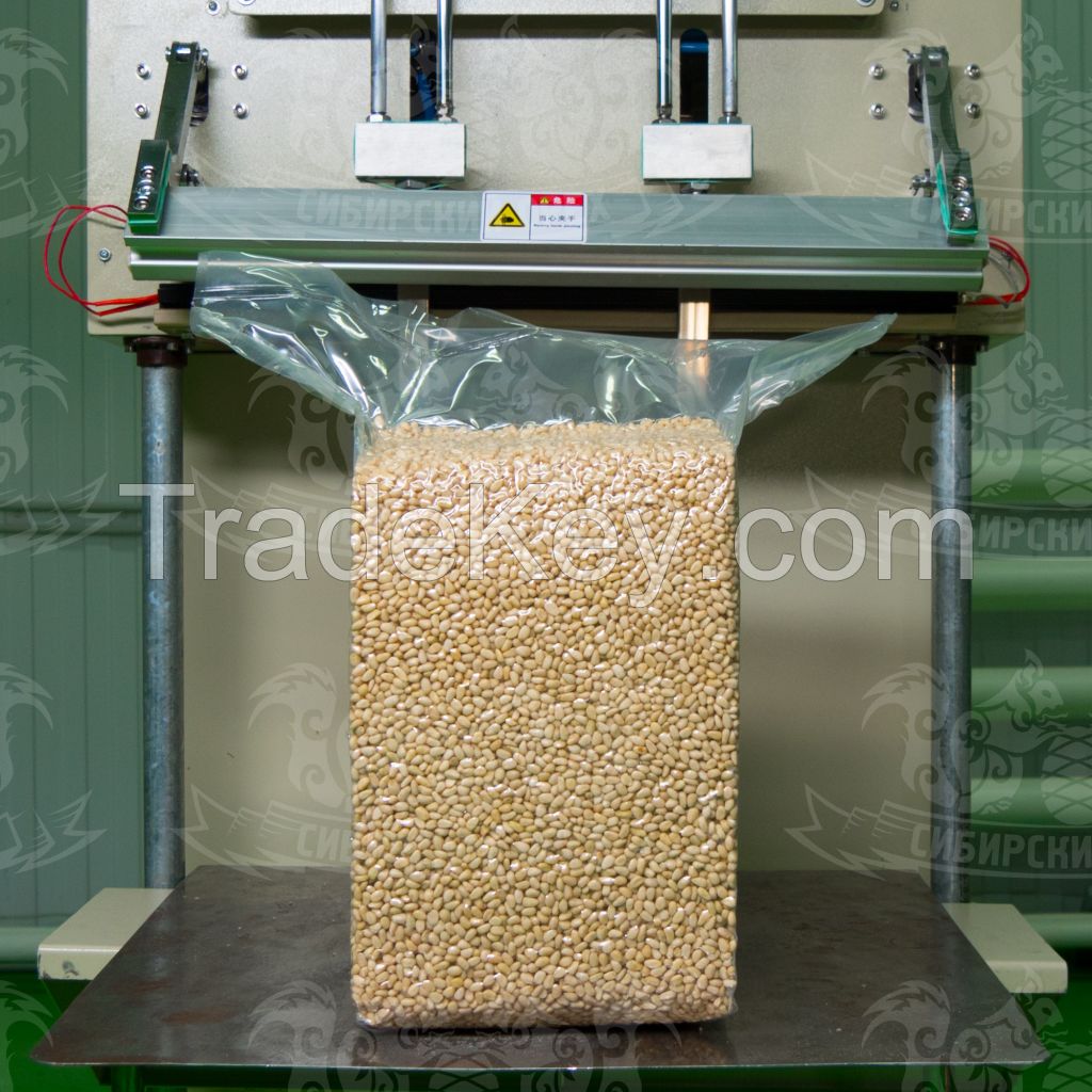 Pine nut kernels