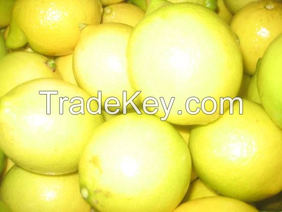  Fresh Navel and Valencia Oranges, Fresh  Golden delicious Apple and Fresh lemon