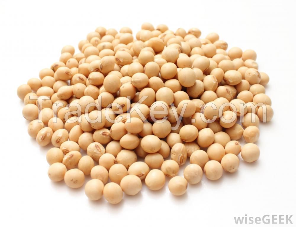 soyabean /soyabean meal