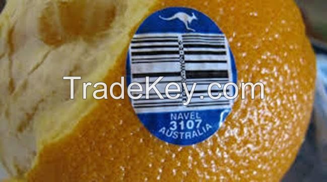 Premium Australian Navel Oranges