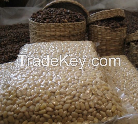 Kernel pine nuts (Siberia, Altay)