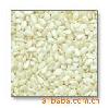 White Hulled Sesame Seeds