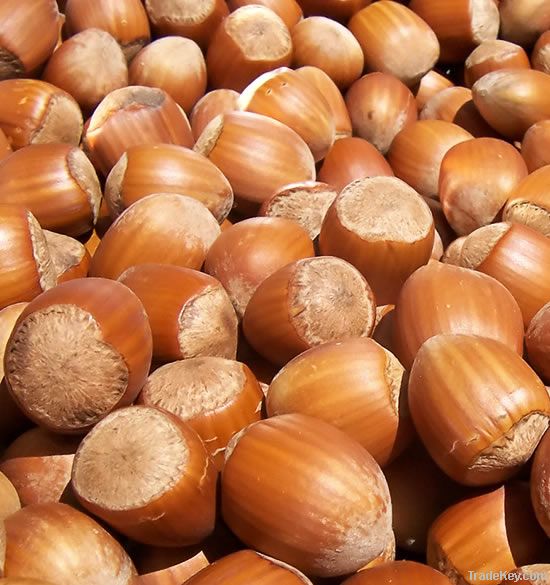 Hazelnuts