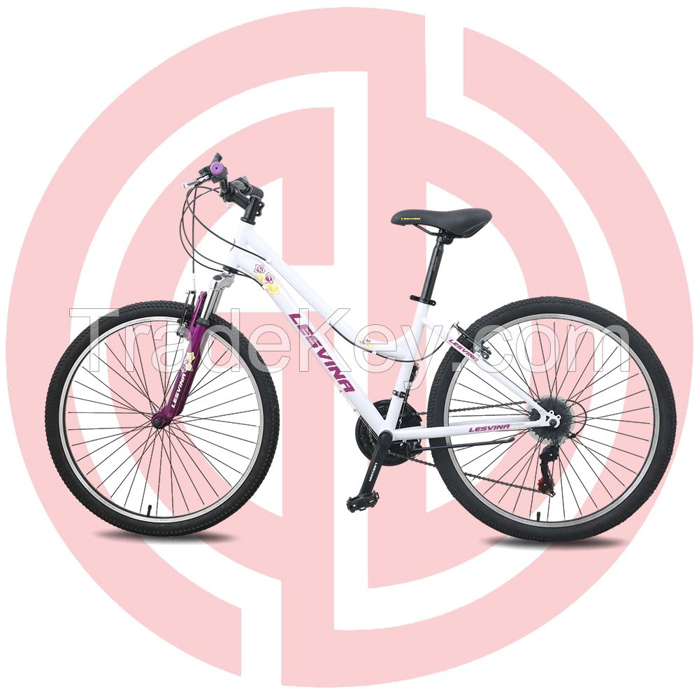 Hot Sale 26 Inch Steel Mountain Bike MTB 21s Lady MTB OEM