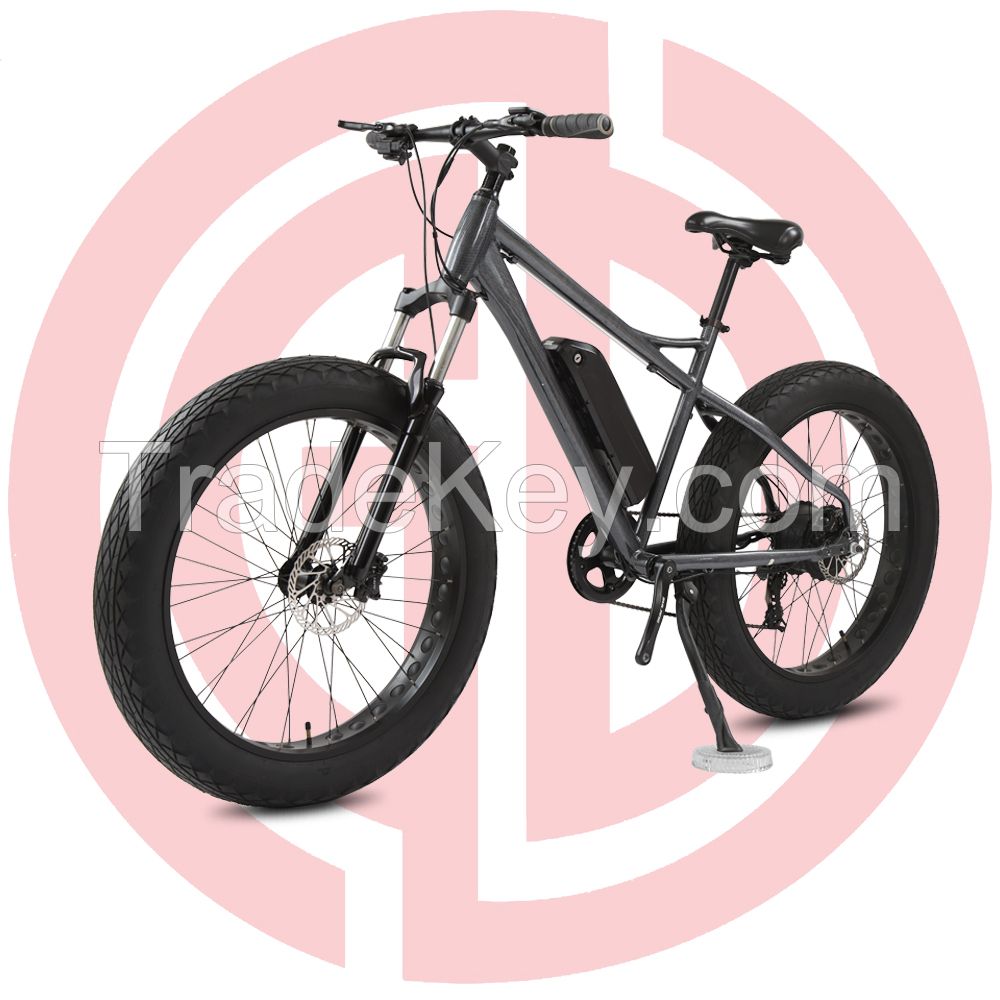 OEM Factory Electric Bicycle Professional Aluminium Alloy Electric City Bike