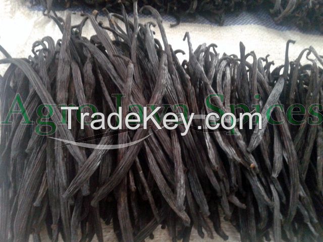 Vanilla Beans Indonesia