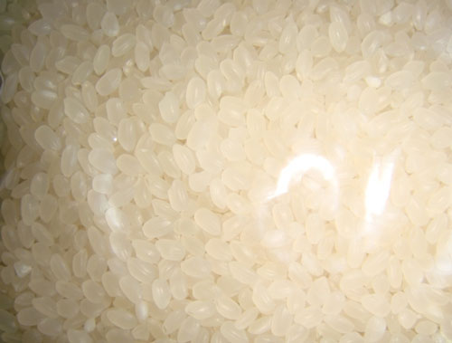 Rice Supplier| Rice Exporter | Rice Manufacturer | Rice Trader | Rice Buyer | Rice Importers | Import Rice