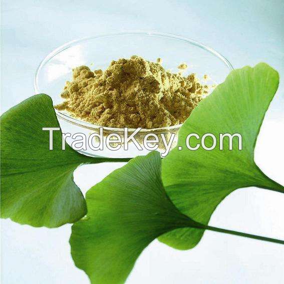 Ginkgo Biloba extract