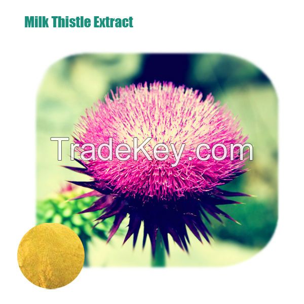 Organic Milk thistle extract