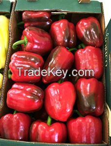 fresh pepper, capsicum