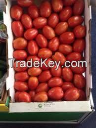 Fresh Indian Onions