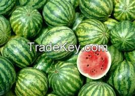 Water Melon